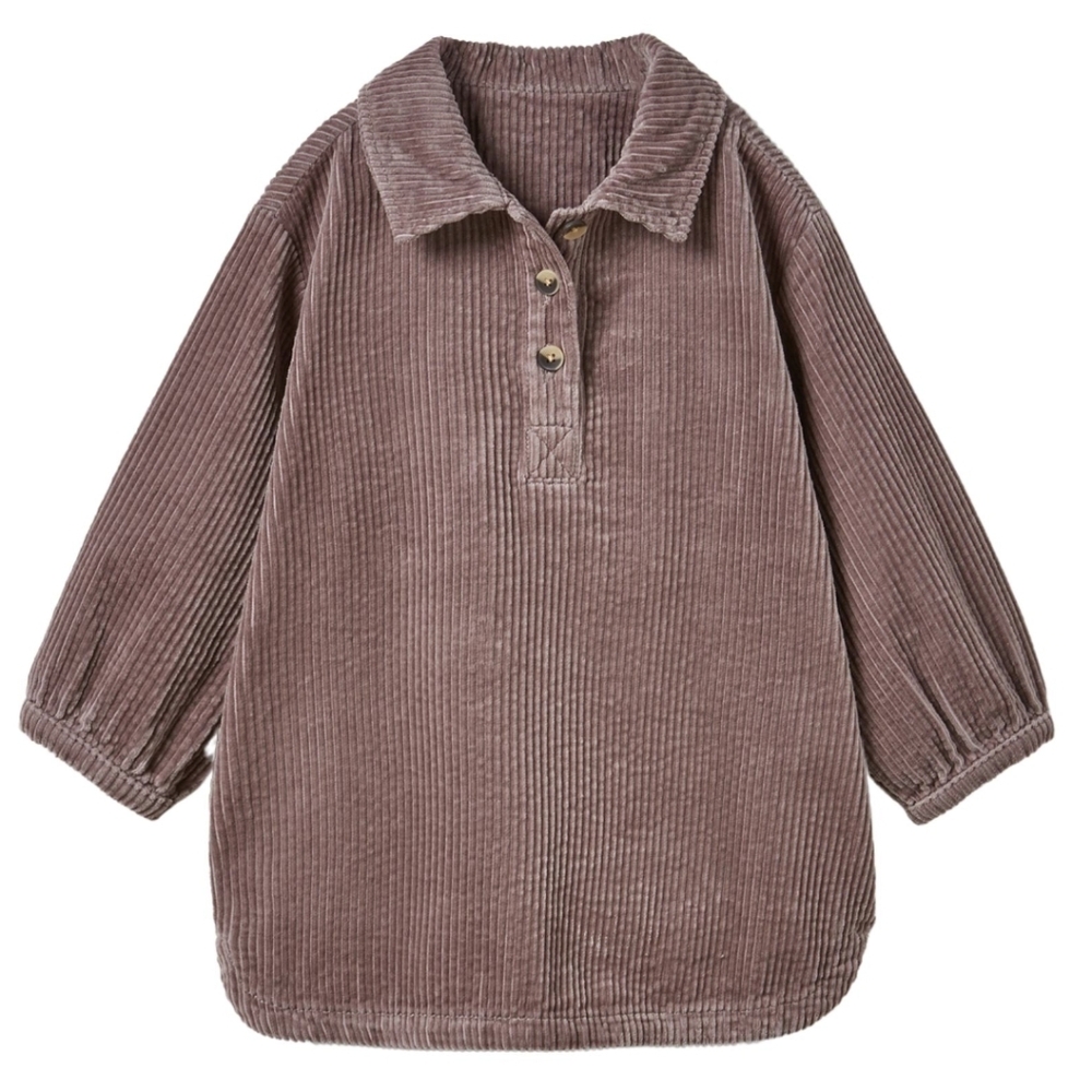 Zara Mauve Corduroy Shirt Dress